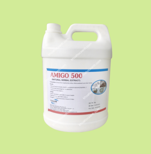 AMIGO 500
